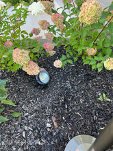 Load image into Gallery viewer, Blaze Ground Mount SpotLight