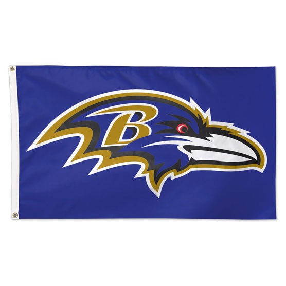 3'x5' Philadelphia Eagles Flag – OldGloryFlagpole