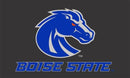 BOISE STATE BRONCOS - CAR FLAG