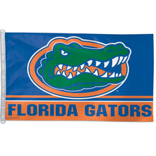 Load image into Gallery viewer, FLORIDA GATORS