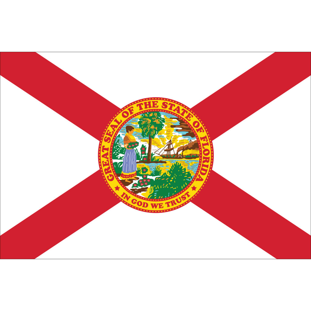 3'x5' Florida Panthers Flag – Old Glory Shop