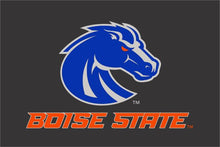 Load image into Gallery viewer, BOISE STATE BRONCOS - CAR FLAG
