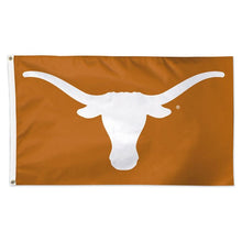 Load image into Gallery viewer, TEXAS LONGHORNS
