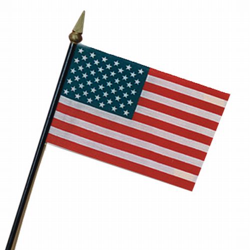 US FLAG - MOUNTED